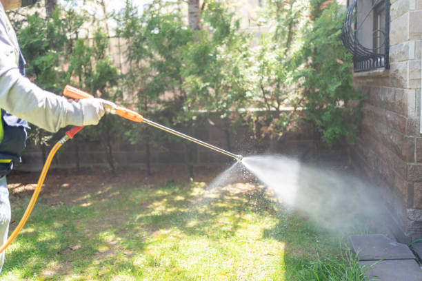 Best Affordable Pest Control Services  in Niles, OH