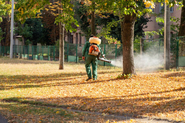 Reliable Niles, OH Pest Control Solutions