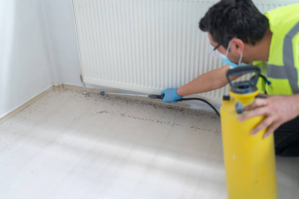 Best Ant Control Services  in Niles, OH