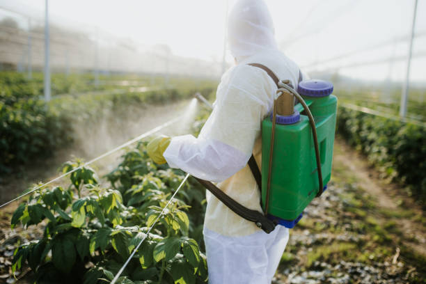 Best Wasp Removal Services  in Niles, OH